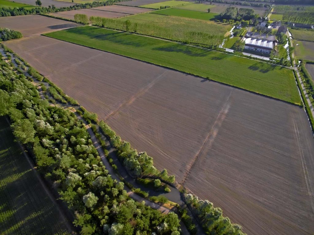 Environment Field Margin - Innovation Center Giulio Natta